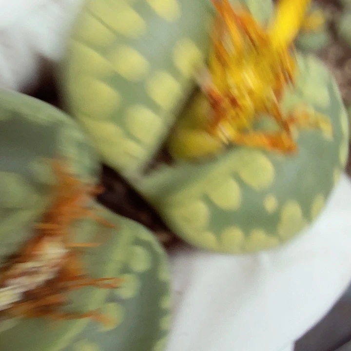 U***a好看我好羡慕了太可爱625是