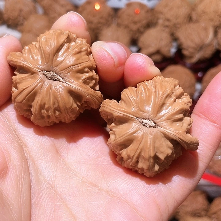 文玩核桃把件全品白狮子40尺