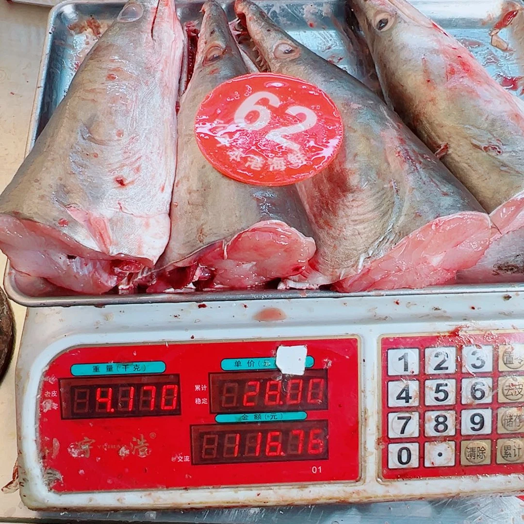 中国大陆四个鳗鱼头