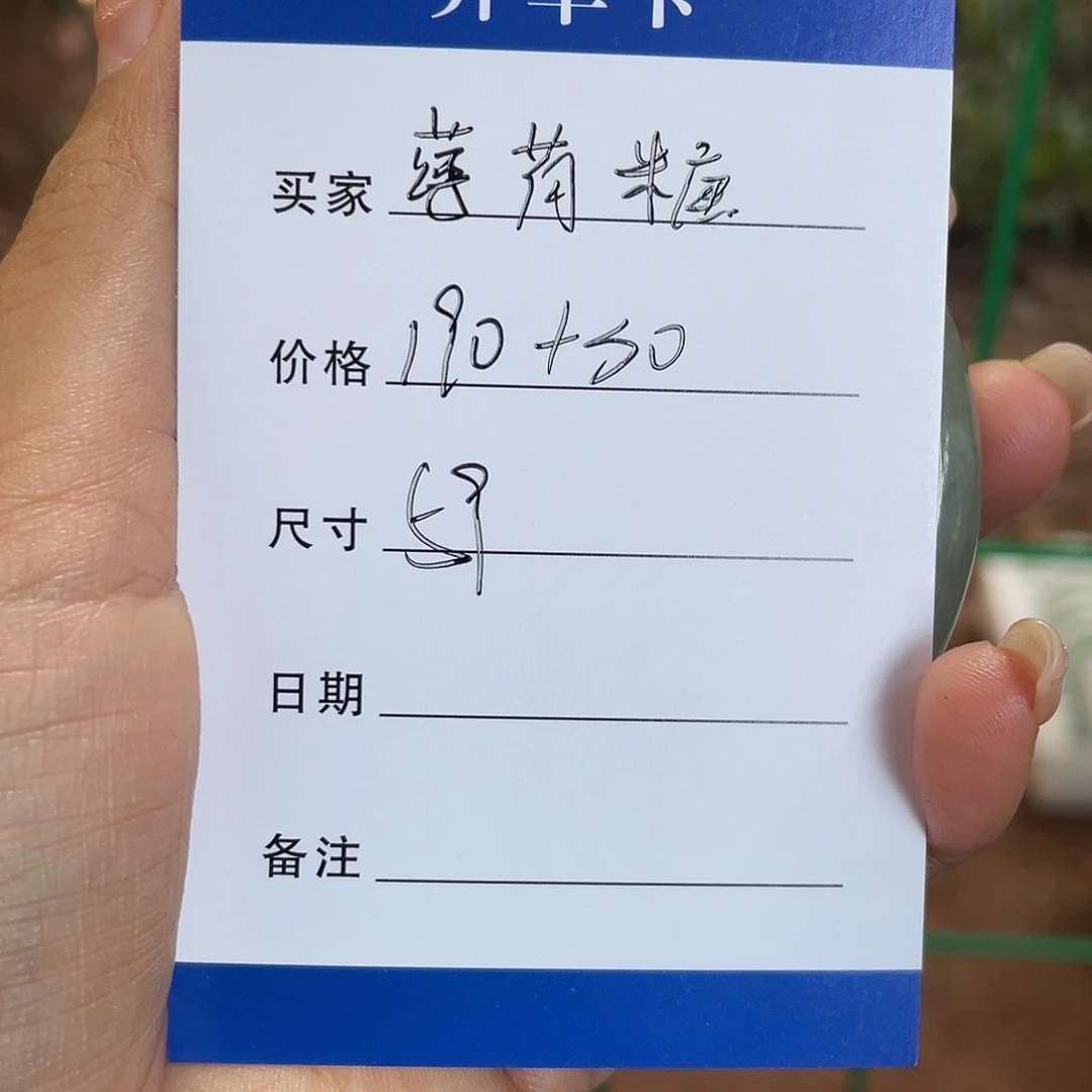 薄***糖非金属所见皆所得