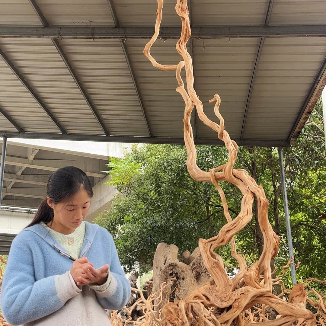 嘉***社木你的生活是我的最爱的人