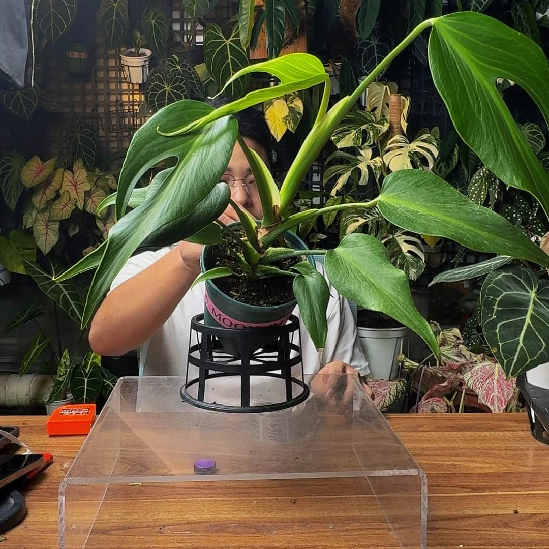 l***啥无花朵一物一拍P161