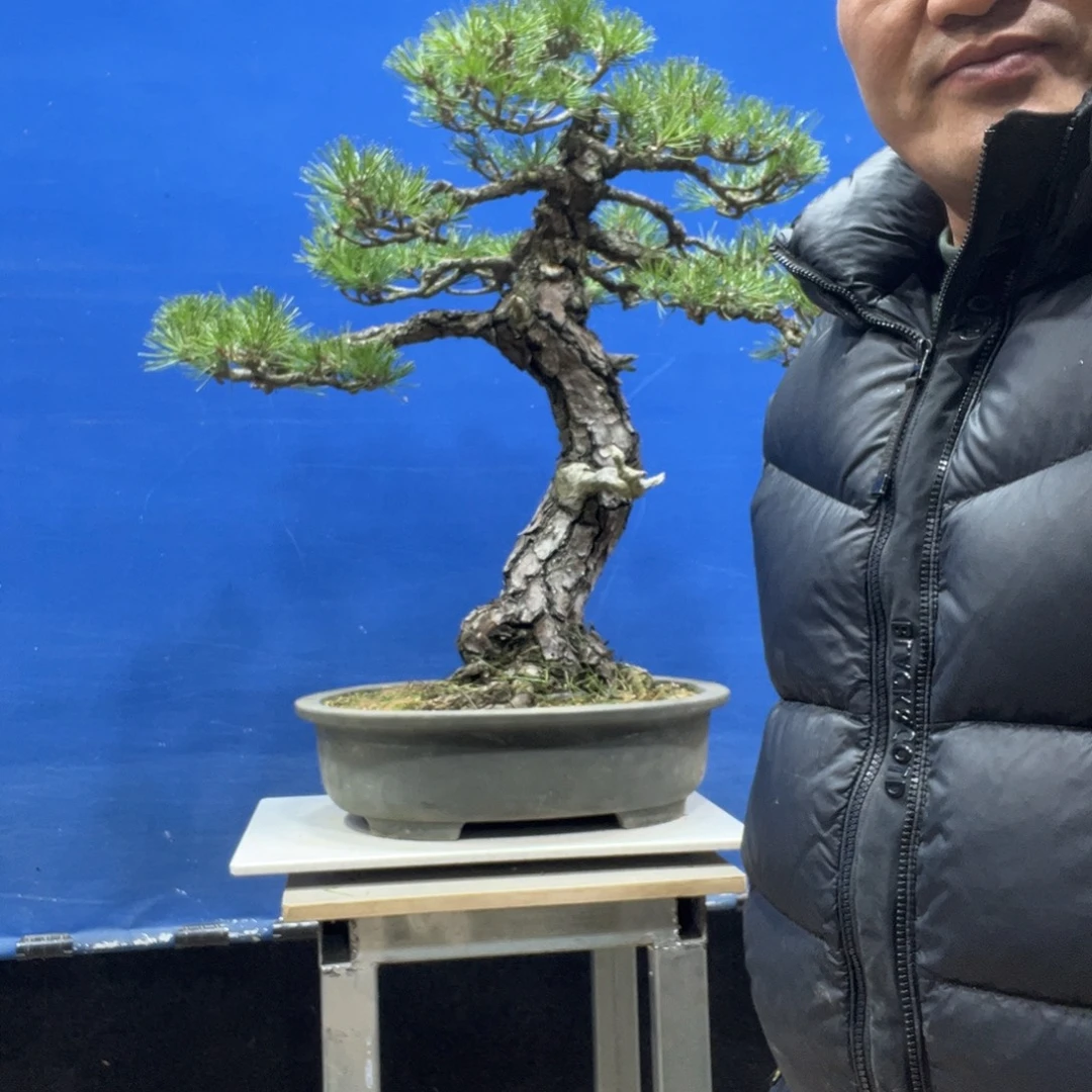 无花朵888888888888