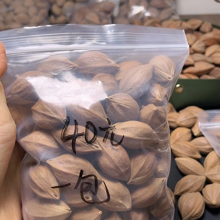 西***柿手串/手链橄榄核一包