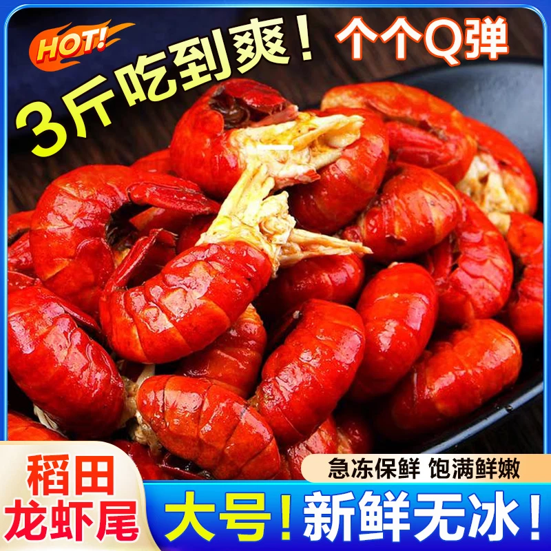 新鲜无冰特级稻田龙虾尾三斤（一斤60粒左右）