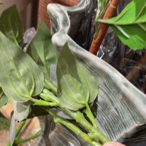 【闪购商品】杯靖**?摆件摆件摆件摆件摆件