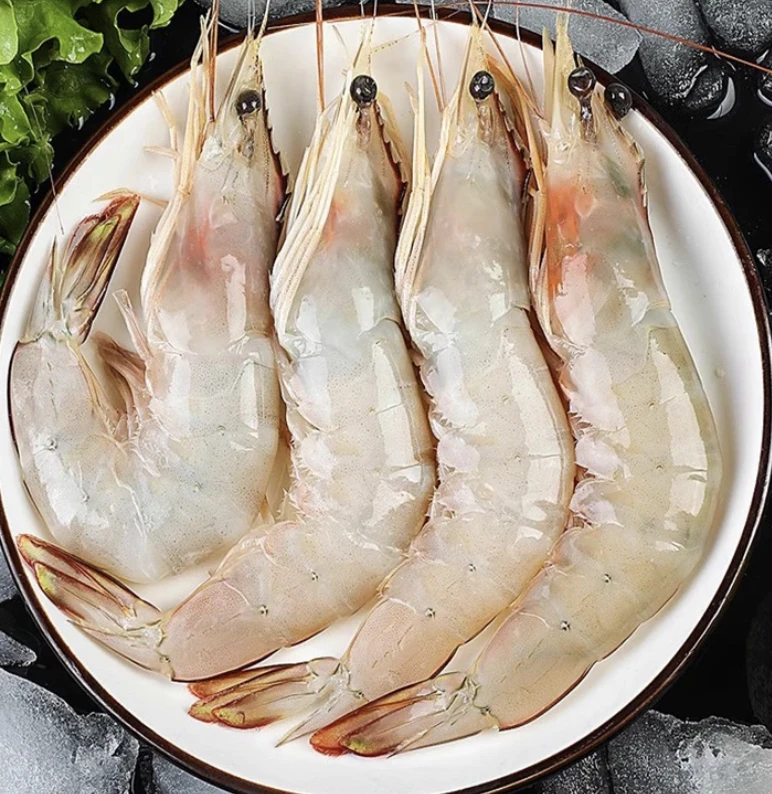 海补明虾新鲜速冻每斤10只左右顺丰快递冷冻保鲜1公斤