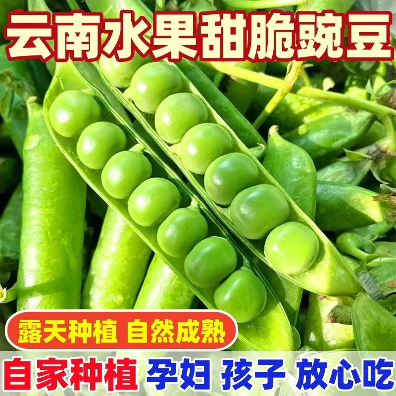【新店半价】云南新鲜青豌豆荚水果甜豌豆应季蔬菜1/3/5/9斤包邮