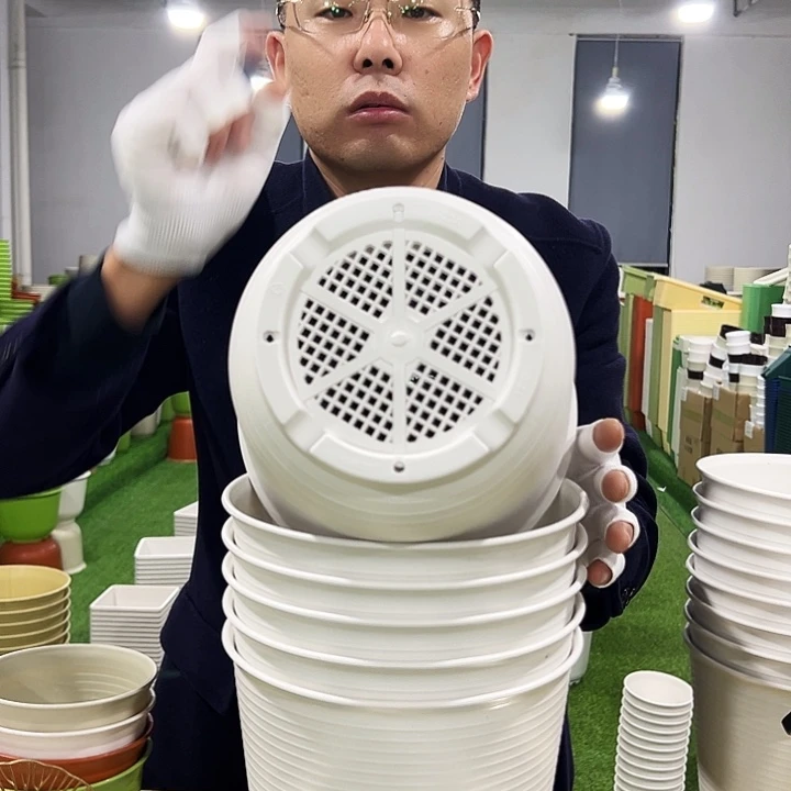 正品高陶口21高21白色6只无托