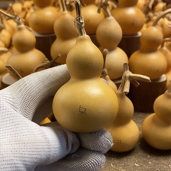 文玩葫芦 完美主义者 慎拍52