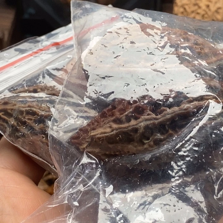 文玩核桃吊坠靳*杰阴皮18