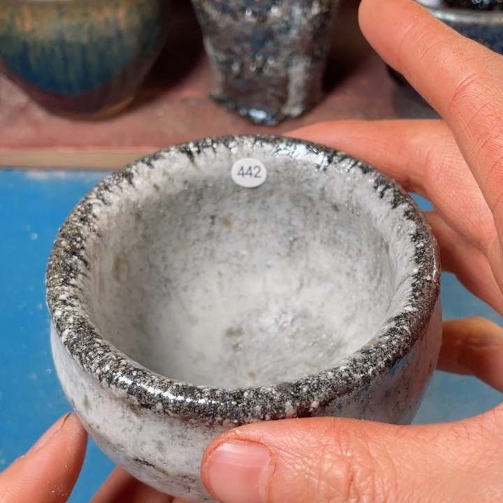 茶宠盏盏都是我的爱啊打