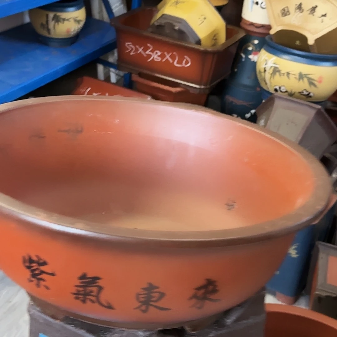 大红花盆花盆花盆花盆