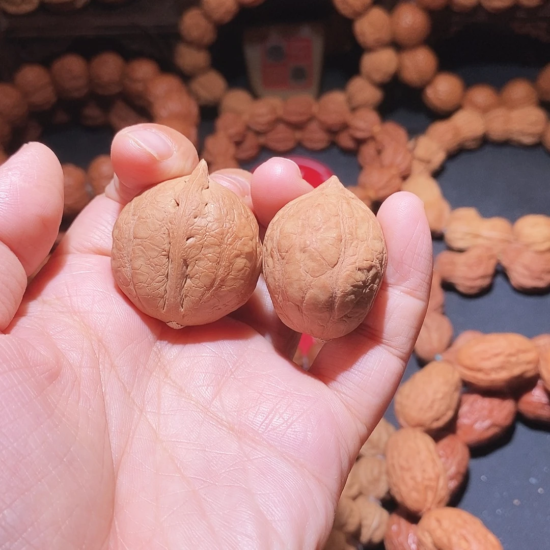 木质类小手捻野生秋子