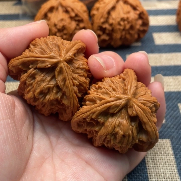 忘***了核桃白狮子40核桃