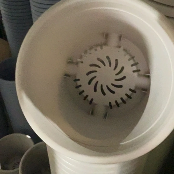 四季3号灰白无托10个特价微瑕