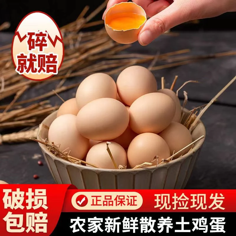 农家散养土鸡蛋笨鸡蛋营养新鲜柴草虫草农户土鸡蛋