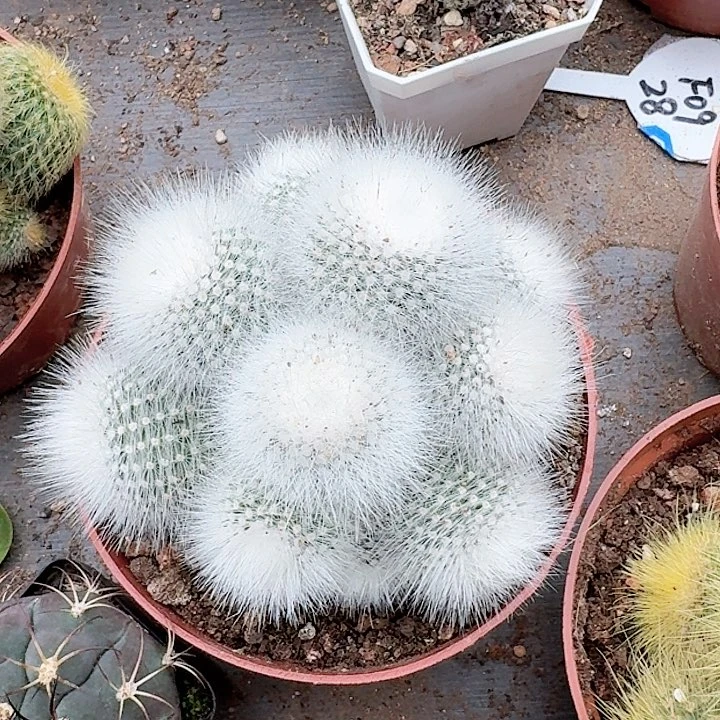 云***巅哈哈哈哈哈哈哈哈哈哈哈