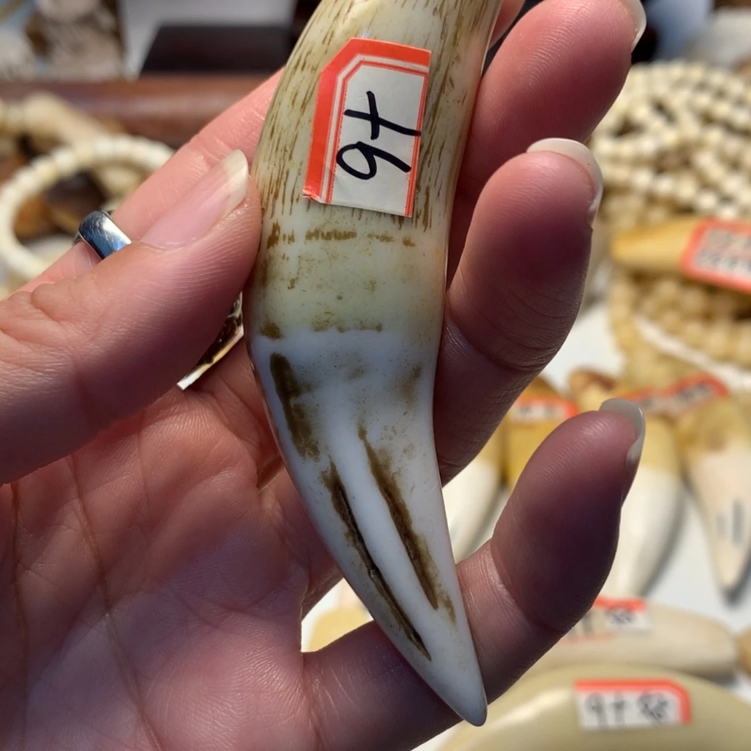 驼骨把件驼骨把件深色牙牙