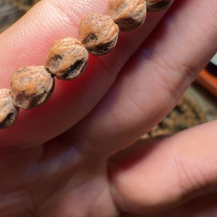 悲***饮吊坠柏香籽/百香籽
