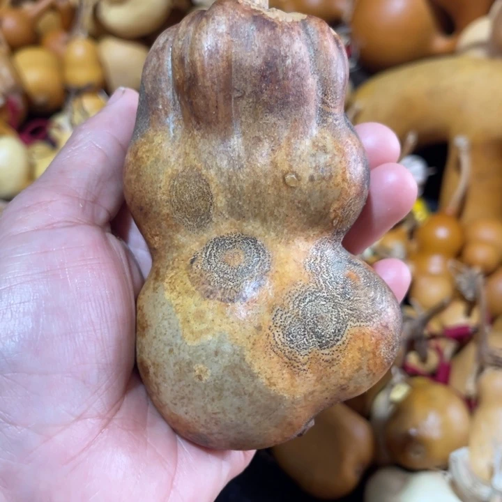 皮***丘葫芦哈哈哈哈哈哈
