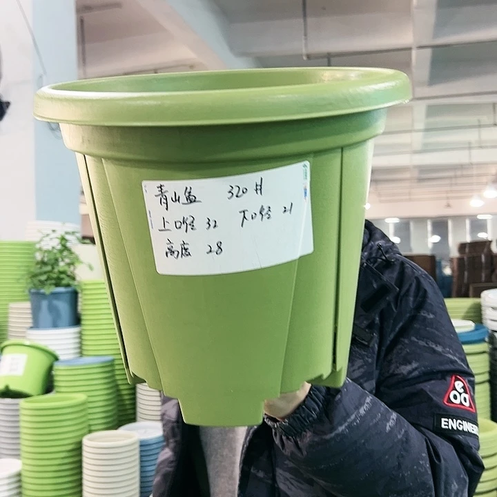 正品青山口32高28果绿无托5只