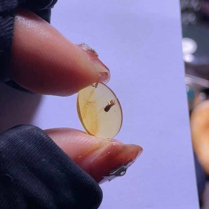 琥珀裸石未镶嵌田****堂。。