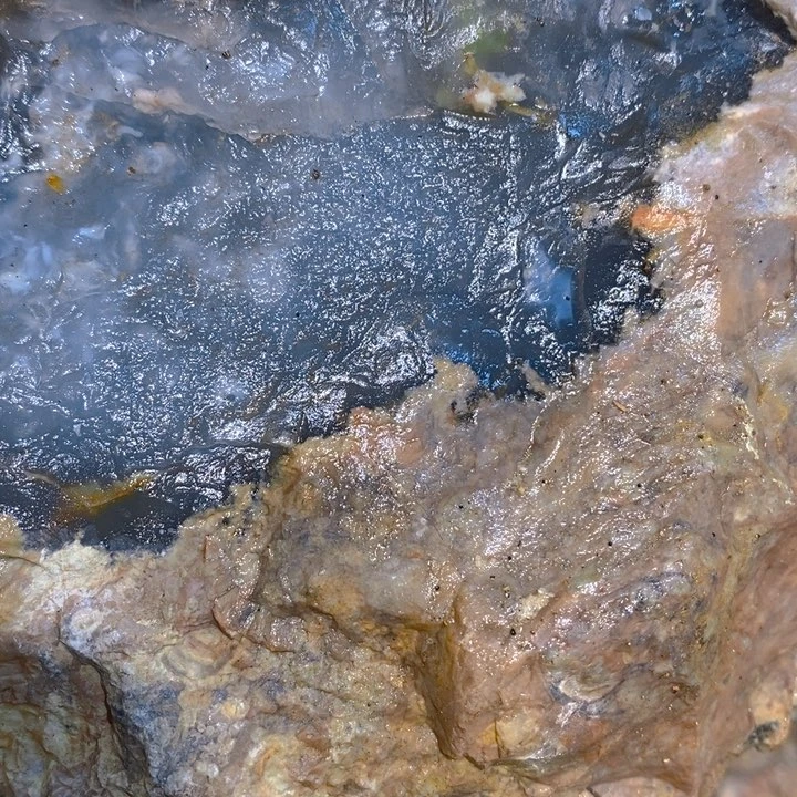 定制玛瑙爱****翁红老去也