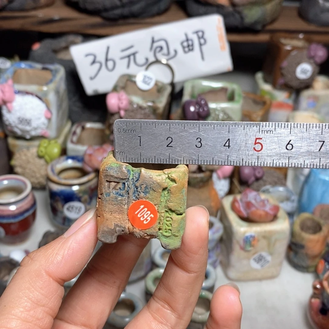 拍3送一个小礼物