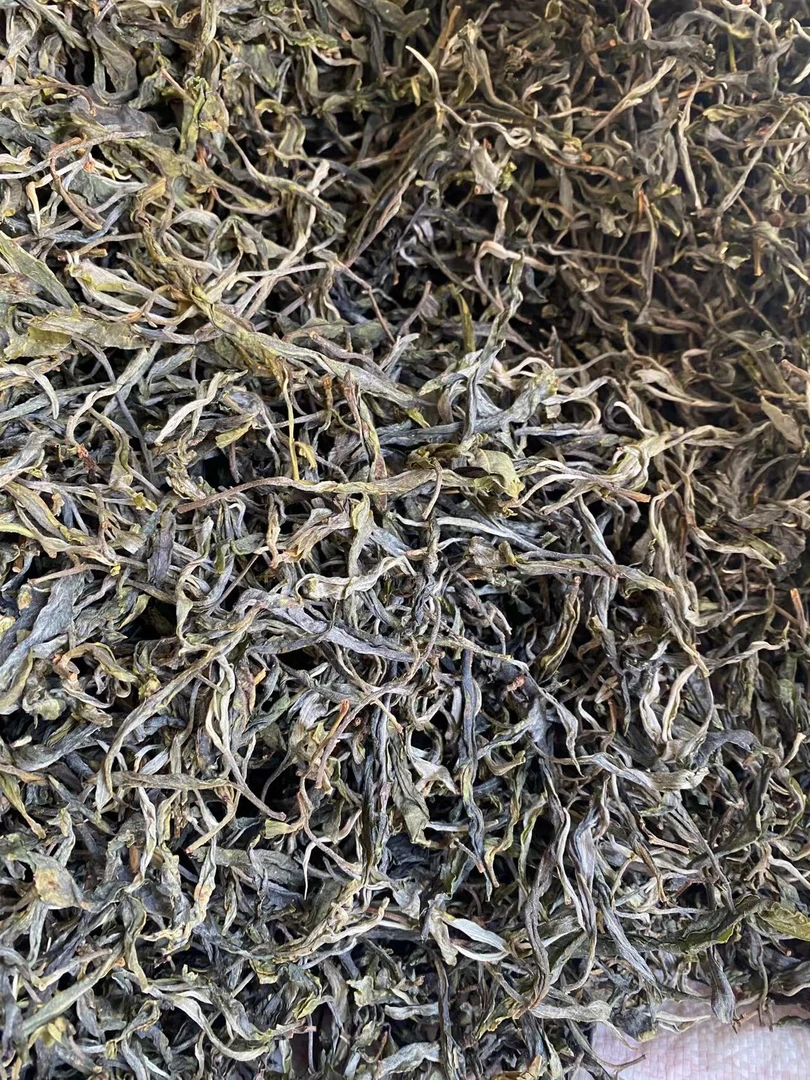 冰岛老寨65号2024年春散茶