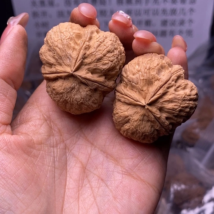 核桃云南野生铁核桃146号40