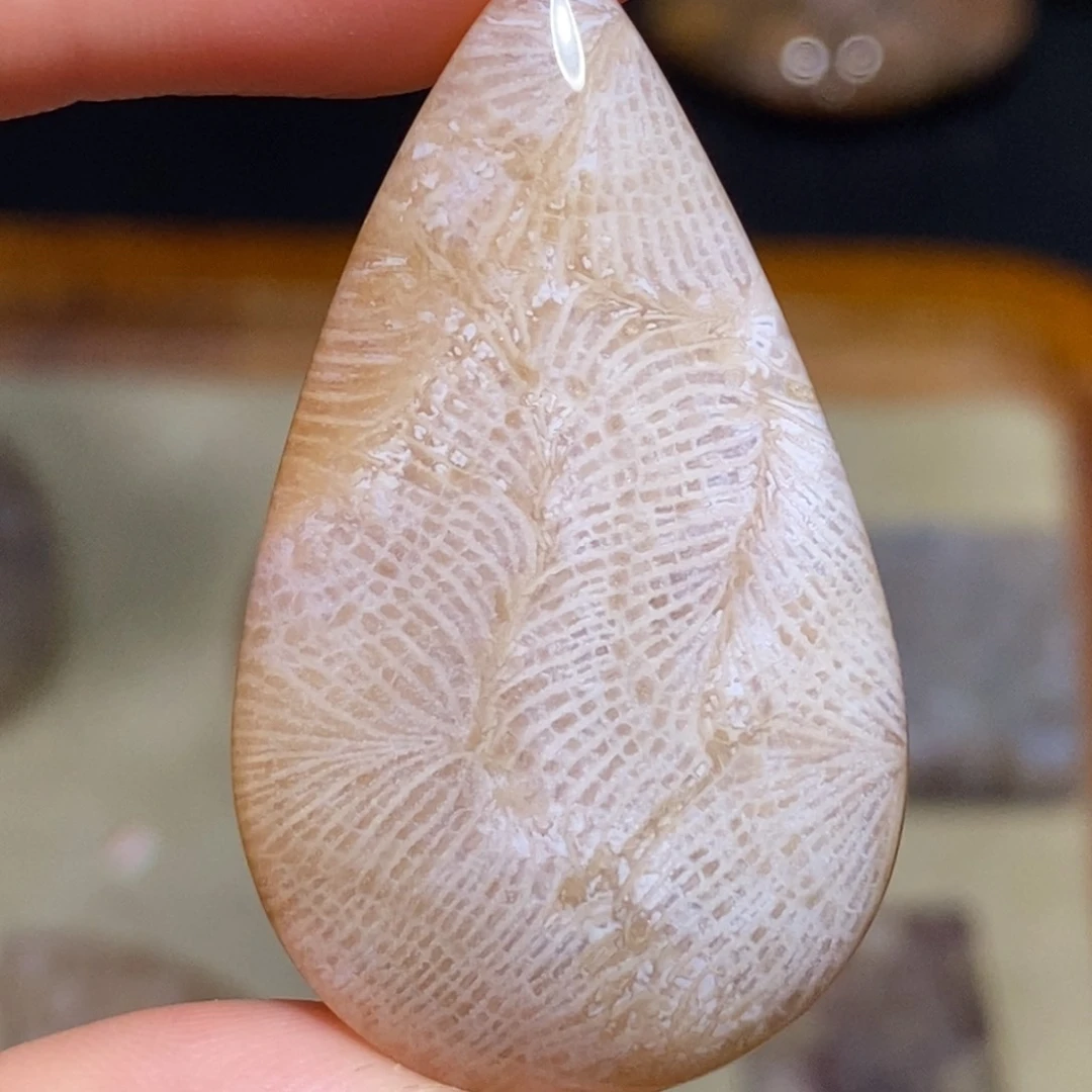 【闪购商品】硅化玉珊瑚玉未镶嵌
