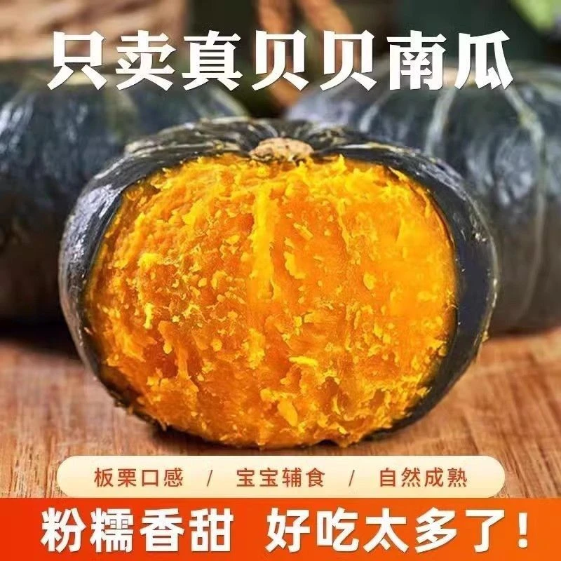 新鲜采摘内蒙古沙地贝贝南瓜粉糯面甜板栗味当季辅食