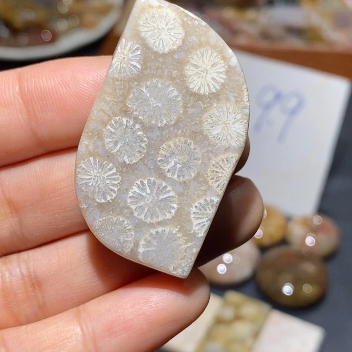 【闪购商品】未镶嵌珊瑚玉硅化玉