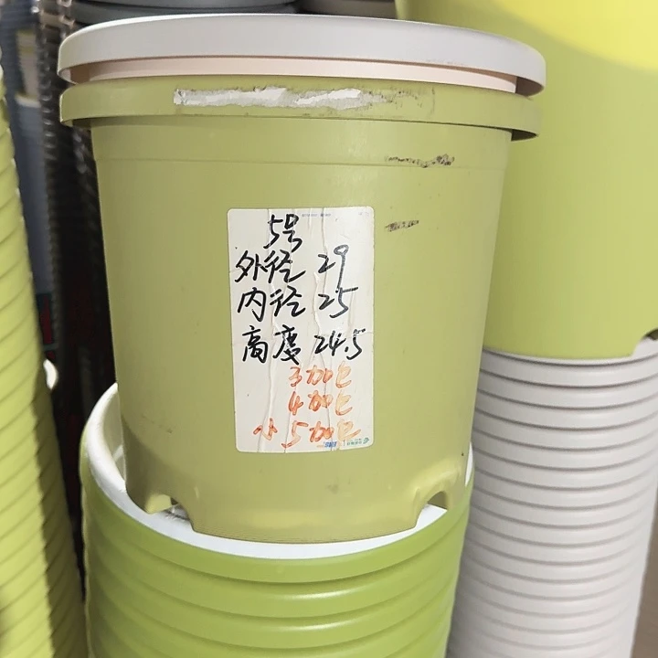 四季5#果绿5个无托口径29