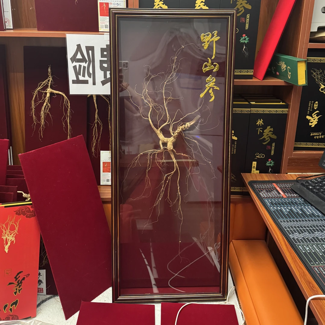 长白山人参～林下山参 煲汤泡酒