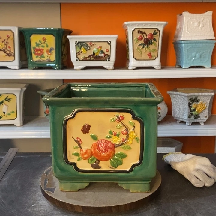 红陶珍*花盆里的小猫咪