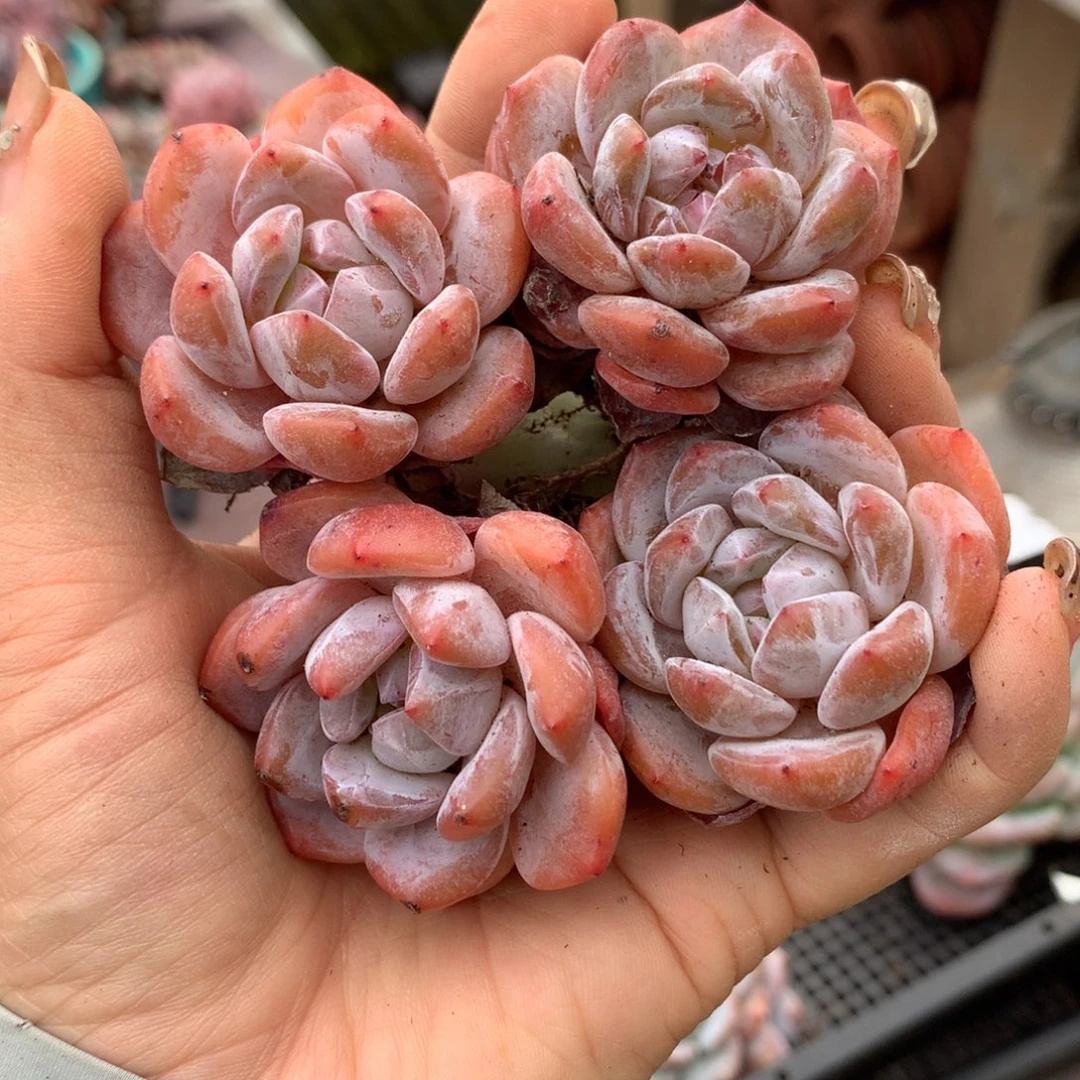 哈哈哈哈哈哈哈哈哈哈哈