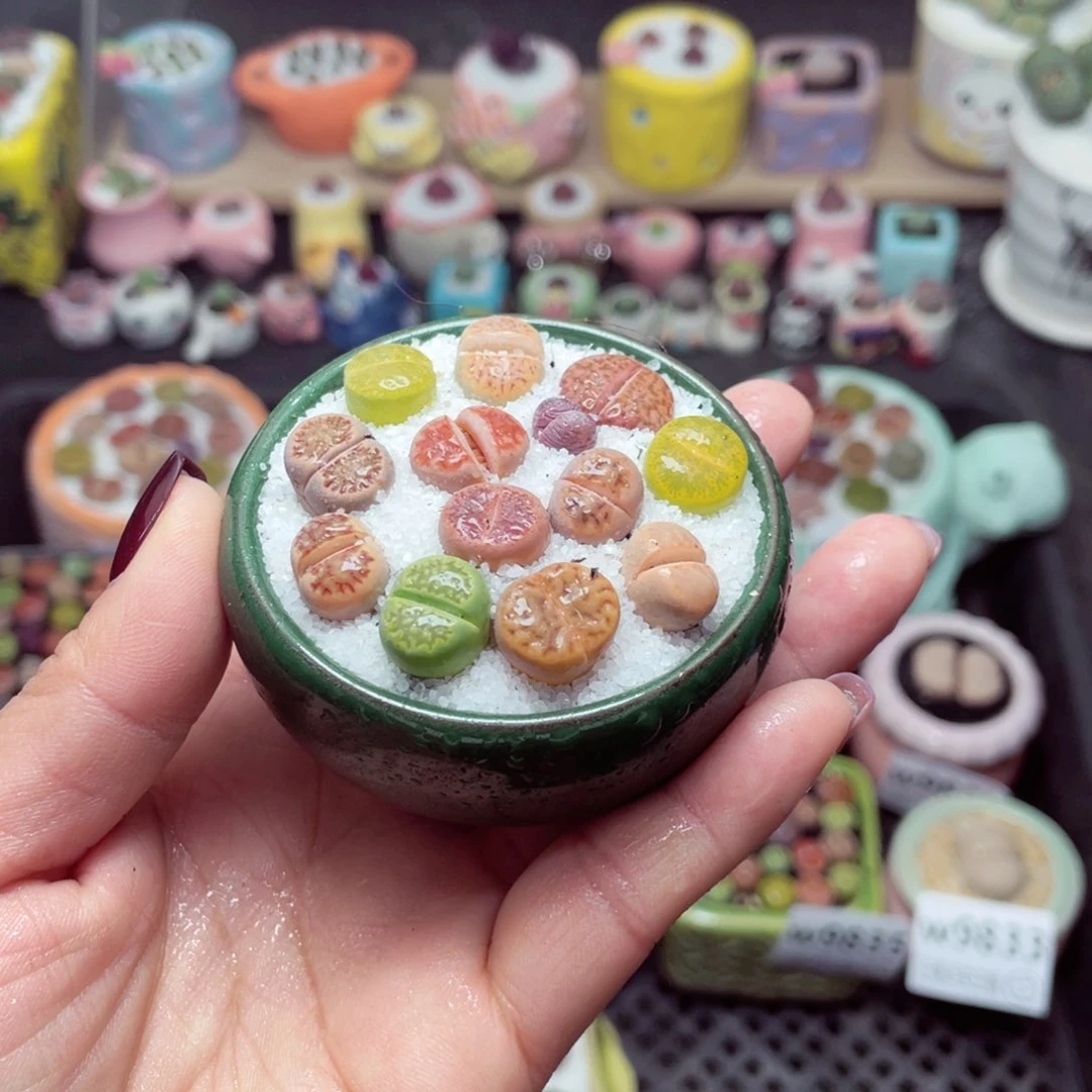 w9838 带盆土发货-零下地区拍保温箱