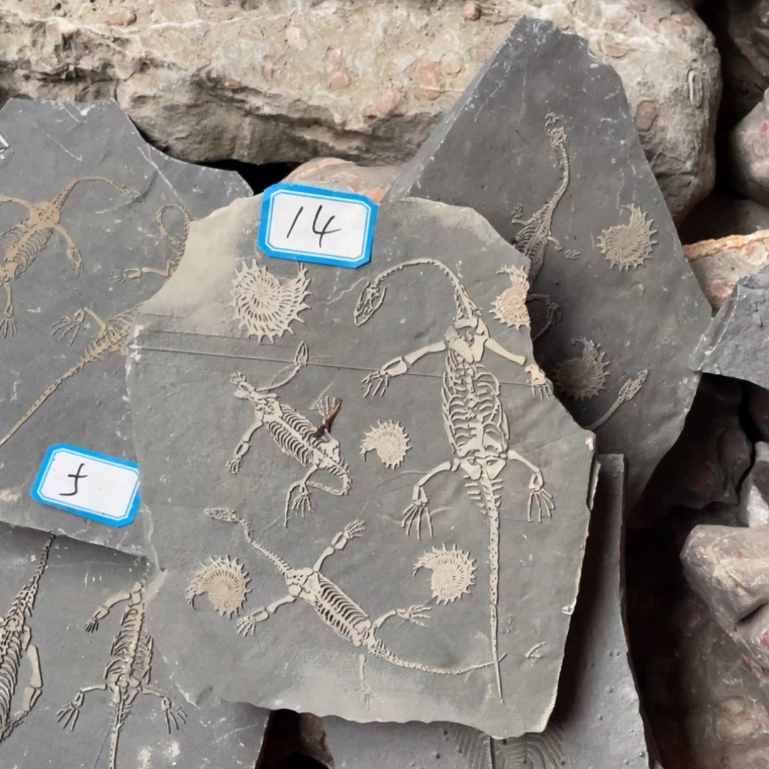 石材1444444444444444444444