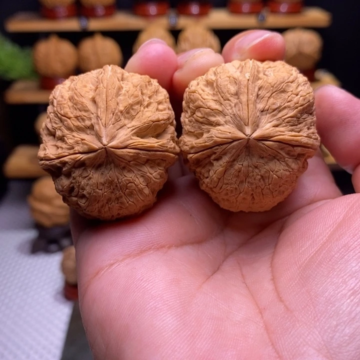 核桃云铁铁狮子三棱56号