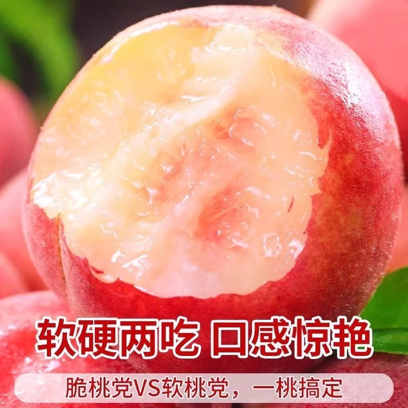 现摘陕西水蜜桃新鲜水果应当季整箱桃子软时令脆甜毛密桃鲜桃
