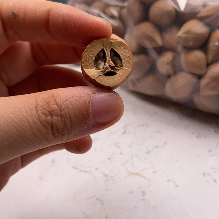 赤***室橄榄核手串/手链打孔不退不换