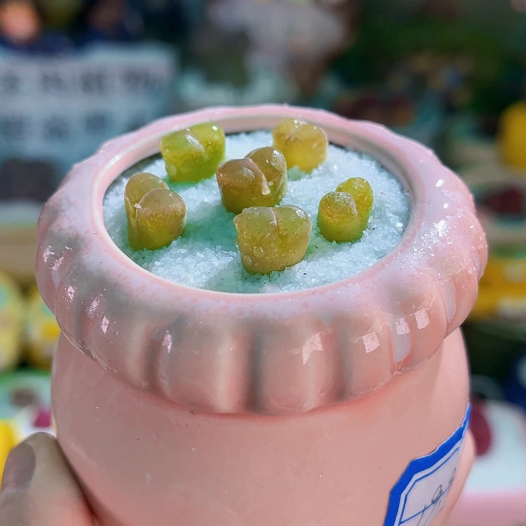 08风铃连盆带土包邮