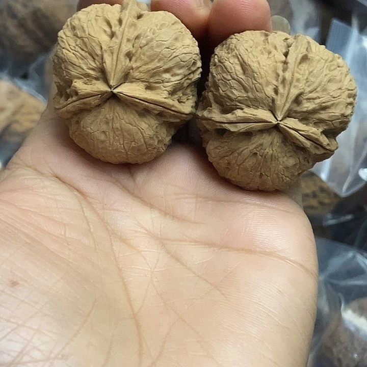 文玩核桃把件云南铁核桃基地11