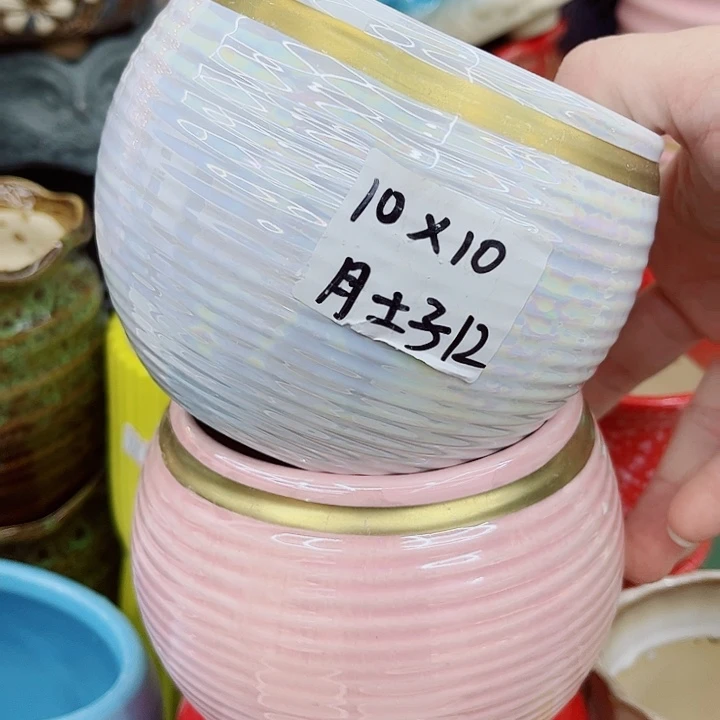 多肉植物陶瓷花盆