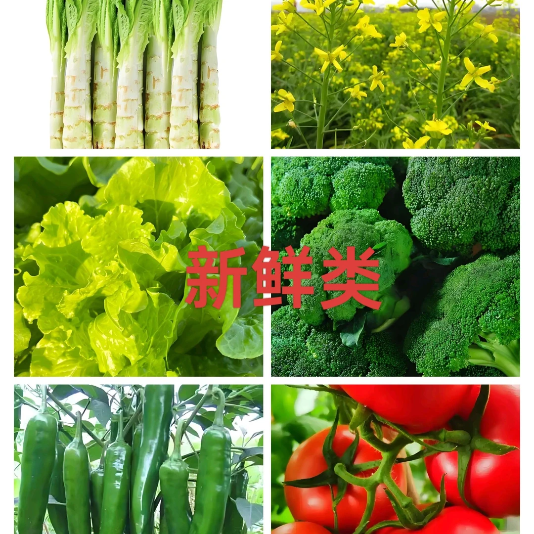 (山里人)农村自种新鲜蔬菜