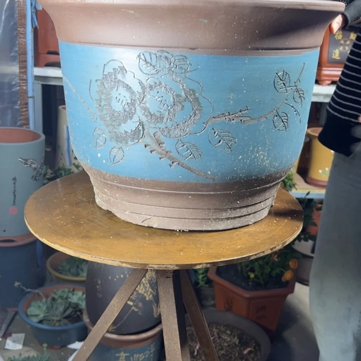 宜兴紫砂花盆45蓝种树