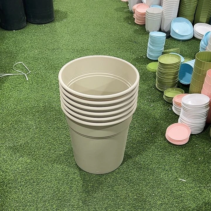 六*燕方边盆口37高40米色6个无托六月燕8155