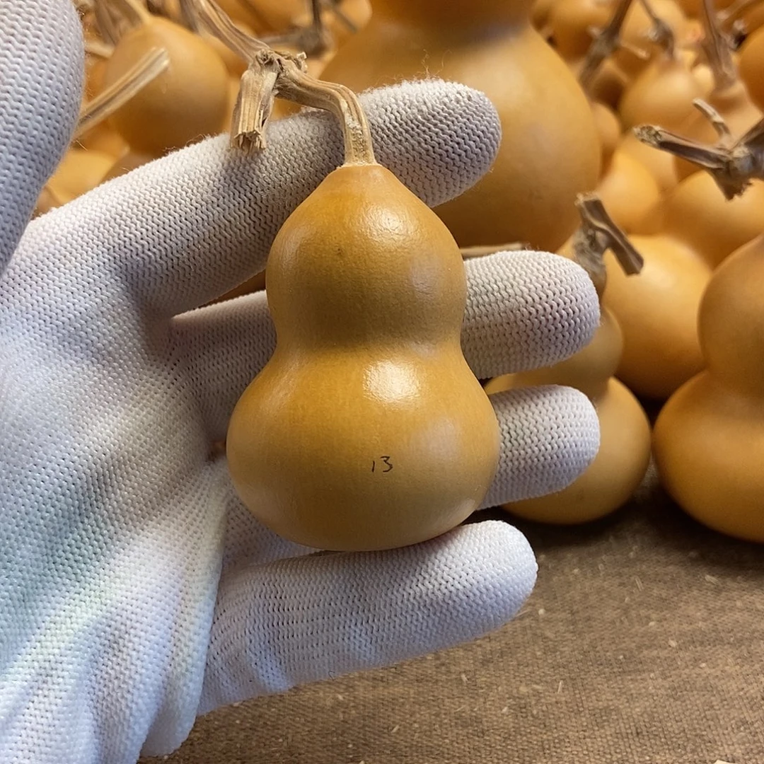 文玩葫芦 完美主义者 慎拍13